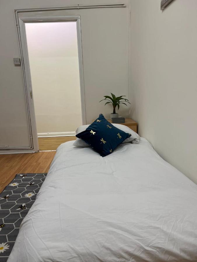 Central London Cosy Apartment ภายนอก รูปภาพ
